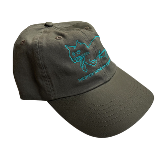 The Drew Thomson Foundation Embroidered Dad Hat
