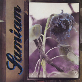 Samiam "Self Titled" LP (black / purple splatter vinyl)
