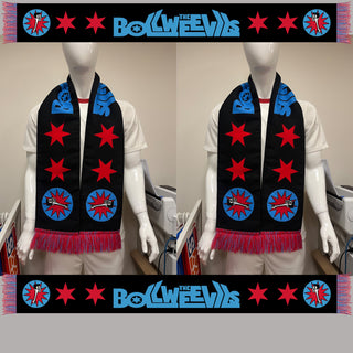 Bollweevils Knit Scarf