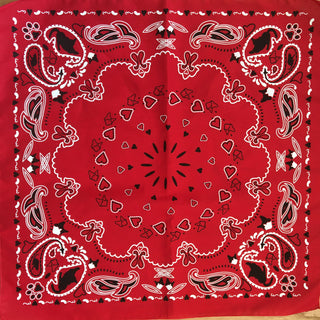 "The Icon - Stray Charles" Human & Pet Bandana