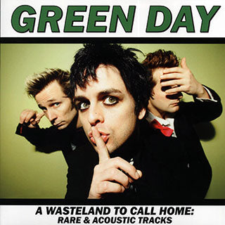 Green Day "A Wasteland To Call Home" LP