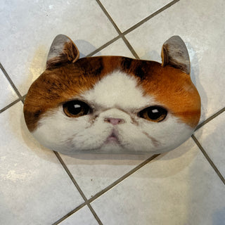 Rad Cat Pillow