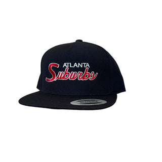 The "Dirty Bird" Embroidered Snap Back Hat