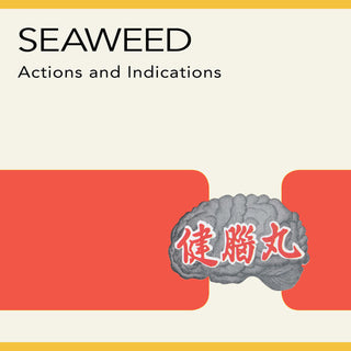 Seaweed "Actions and Indications" LP