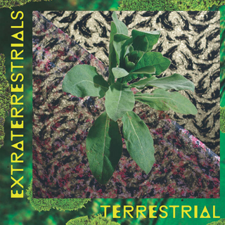 Extraterrestrials "Terrestrial" LP