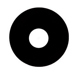 Arson Charge "A Dying Light" LP *PREORDER*