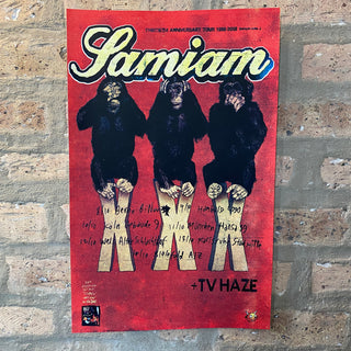 Samiam "30th Anniversary Tour" Screen Printed Poster